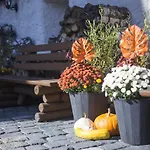 Hrad Vildstejn Pensionat 3*