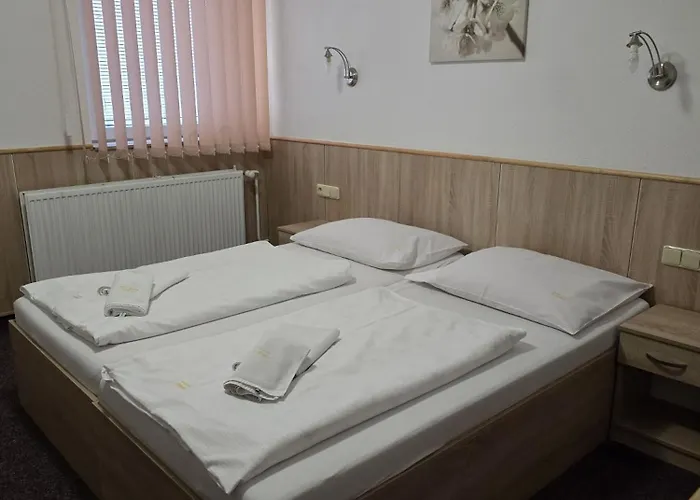 Hrad Vildstejn 3* Skalná